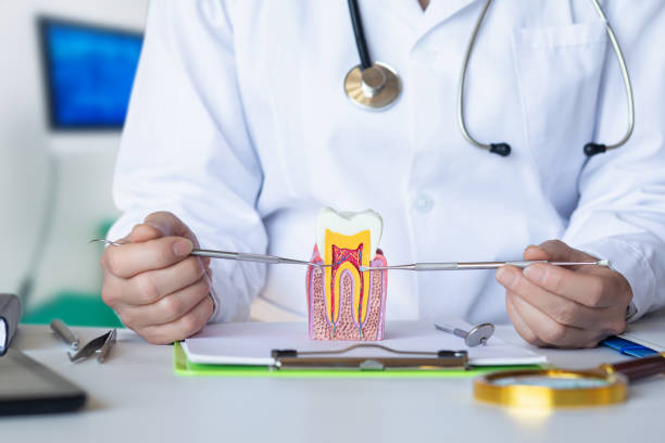 Best Emergency Tooth Extraction in Interlachen, FL